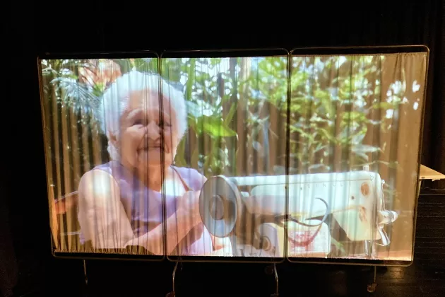 Picture of an elderly woman on television. Photo.